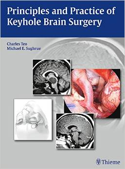 Principles and Practice of Keyhole Brain Surgery Hardcover