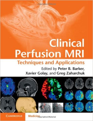 Clinical Perfusion MRI: Techniques and Applications 1st Edition