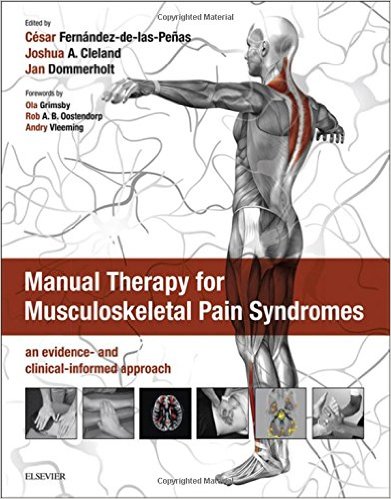 Manual Therapy for Musculoskeletal Pain Syndromes: an evidence- and clinical-informed approach
