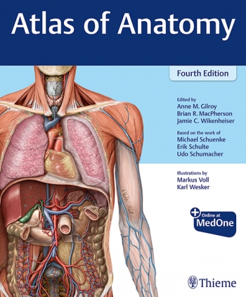 Atlas of Anatomy 4/E 2020
