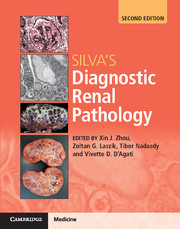 Silva's Diagnostic Renal Pathology  2nd Edition 2017