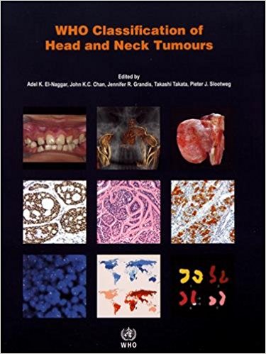 Infectious Diseases of the Female Genital Tract, 4th