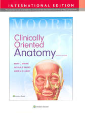 MOORE Clinically Oriented Anatomy(I.E.) 8/E 2018(團購另有優惠)