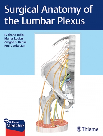 Surgical Anatomy of the Lumbar Plexus 2019
