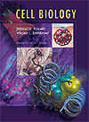 Cell Biology