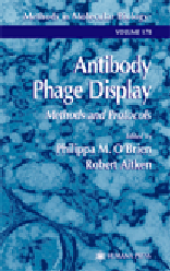 Antibody Phage Display