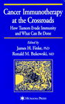 Cancer Immunotherapy at the Crossroads