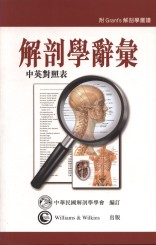 解剖學辭彙
