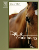 Equine Ophthalmology