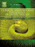 Pocket Guide to Medications Used in Dermatology