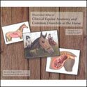 Illustrated Atlas of Clinical Equine Anatomy and Common Disorders of the Horse Volume 2