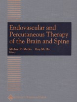Endovascular and Percutaneous Therapy of the Brain and Spine