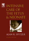 Intensive Care of the Fetus and Neonate, 2nd Edition