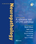 Nelson Textbook of Pediatrics, 2-Volume Set - International Edition, 22/E 2025