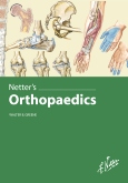 Netter's Orthopaedics 2006