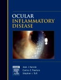 Ocular Inflammatory Disease 2006
