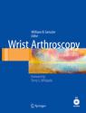 Wrist Arthroscopy 2006