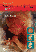 Langman's Medical Embryology Softbound 10/E CD-ROM