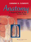 Anatomy A Regional Atlas of the Human Body Softbound 5/E