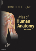 Atlas of Human Anatomy, 4th Edition - With netteranatomy.com