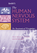 Barr's The Human Nervous System An Anatomical Viewpoint Softbound 8/E