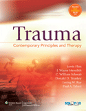 Trauma Contemporary Principles and Therapy Hardbound