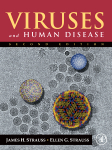 Viruses and Human Disease 2/E