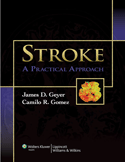 Stroke A Practical Approach Hardbound
