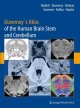 Duvernoy's Atlas of the Human Brain Stem and Cerebellum : High-field MRI, Surface Anatomy, Internal Structure, Vasculari