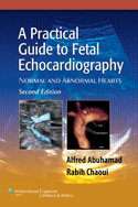 A Practical Guide to Fetal Echocardiography 2/E  2010