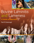 Bovine Laminitis and Lameness - A Hands on Approach
