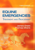 Endocrine Disrupting Chemicals (Issues in Environmental Science and Technology 12)