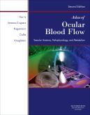 Atlas of Ocular Blood Flow, 2nd Edition - Vascular Anatomy, Pathophysiology, and Metabolism