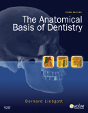 The Anatomical Basis of Dentistry, 3rd Edition