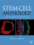 Stem Cell Anthology From Stem Cell Biology, Tissue Engineering, Cloning, Regenerative Medicine and Biology 2010