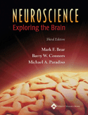 Neuroscience Exploring the Brain Hardbound