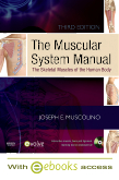 The Muscular System Manual - Text and E-Book Package, 3rd EditionThe Skeletal Muscles of the Human Body 2010