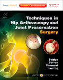 Techniques in Hip Arthroscopy and Joint Preservation SurgeryExpert Consult: Online and Print with DVD 2011