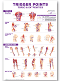 Trigger Points Giant Chart flexiblePlastic