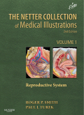 The Netter Collection of Medical Illustrations: Reproductive System, 2nd Edition (Volume 1) 2011