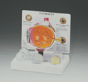 Cataract Eye Model