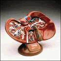 Deluxe Liver and Gallbladder Model
