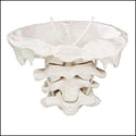 Giant Atlas/Axis Model