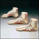 Set of Three Feet