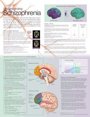 Understanding Schizophrenia Anatomical Chart Laminated