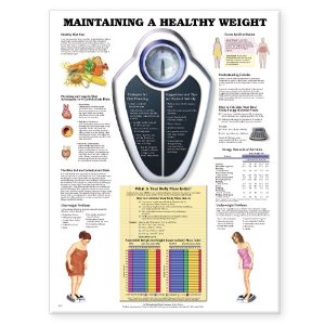 Maintaining A Healthy Weight Laminated