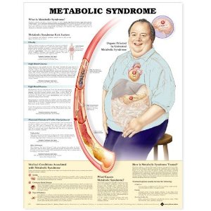 Metabolic Syndrome Anatomical Chart Laminated