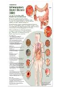 Minimally Invasive Endocrine Surgery , Hardbound