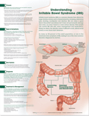 Understanding Irritable Bowel Syndrome Anatomical Chart Laminated