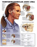 Temporomandibular Joint (TMJ) Anatomical Chart Laminated